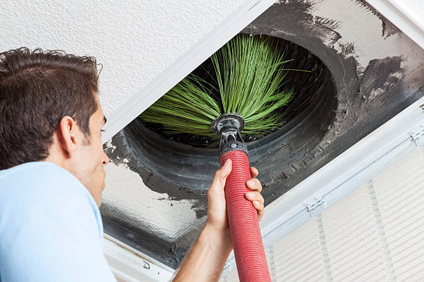 Best HVAC Maintenance and Cleaning  in Montrose, MI